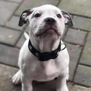 Meet your Posher, Jayda